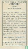 St.Jansvlinder - Image 2