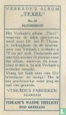 Pluimzegge - Image 2