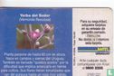 Vernonia Flexuosa - Image 2