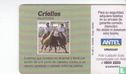 Criollos - Image 2