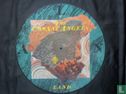 Land (picture disc) - Image 1