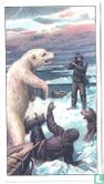 Door IJsberen aangevallen. 5. Augustus 1895. - Afbeelding 1