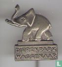 Dierenpark Wassenaar (elephant type 1) - Image 1