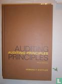 Auditing Principles - Image 1