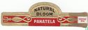 Bloom naturel Panatela - Image 1