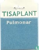 Pulmonar - Image 3