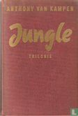 Jungle - Image 1