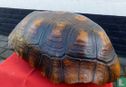 Schildpad schild - Afbeelding 1