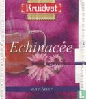 Echinacea - Afbeelding 2