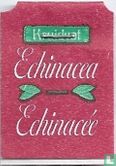 Echinacea - Afbeelding 3