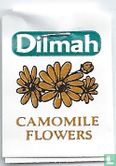 Camomile Flowers  - Afbeelding 3