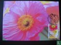 Fleurs