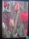 Fleurs