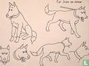 Kuifje en het Haaienmeer - Hond - tekening - Bob de Moor - Afbeelding 3