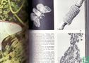 Encyclopédie illustrée des insectes - Image 3