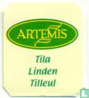 Tila - Linden - Tilleul - Afbeelding 3