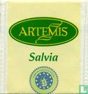 Salvia - Image 1