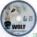 Expedition Wolf - Image 3