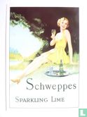 Schweppes Sparkling Lime - Afbeelding 1