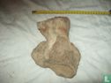 Mammoet middenvoetsbeen - Afbeelding 2