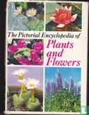 The pictorial encyclopedia of plants and flowers - Bild 1