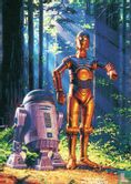 C-3PO & R2-D2 - Afbeelding 1