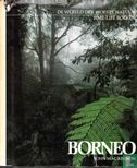 Borneo - Bild 1