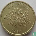 Guernsey 1 Pound 1981 - Bild 1