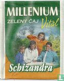 Schizandra - Bild 1