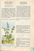 Encyclopedie Familia Herba - Afbeelding 3