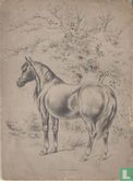 Van het paard en zijn meester - Afbeelding 2