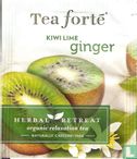 Kiwi Lime ginger - Afbeelding 1