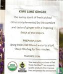 Kiwi Lime ginger - Afbeelding 2