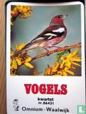 Vogels - Image 1