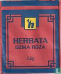 Dzika Róza - Image 1