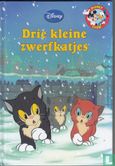 Drie kleine zwerfkatjes