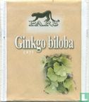 Ginkgo biloba