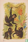Voor het kind-apen - Afbeelding 1
