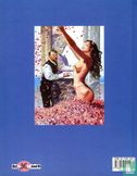 Pittore e Illustratore