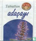 adaçayi - Afbeelding 1