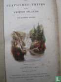 The Feathered Tribes of the British Islands - Bild 3