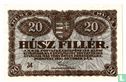 Hongrie 20 Fillér 1920 - Image 1