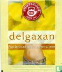 delgaxan  - Image 1