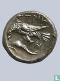 Griekse oudheid - Istros AR Stater 400 - 350 v.C. - Afbeelding 2