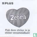 Zebra - Image 2