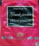 Ceylon Radella - Bild 2