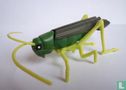 Grasshopper - Afbeelding 1