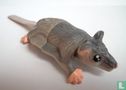 Feathertail Glider - Image 1