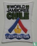 Liechtenstein contingent - 19th World Jamboree - Afbeelding 1