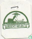 Fruit Forest Tea - Image 3